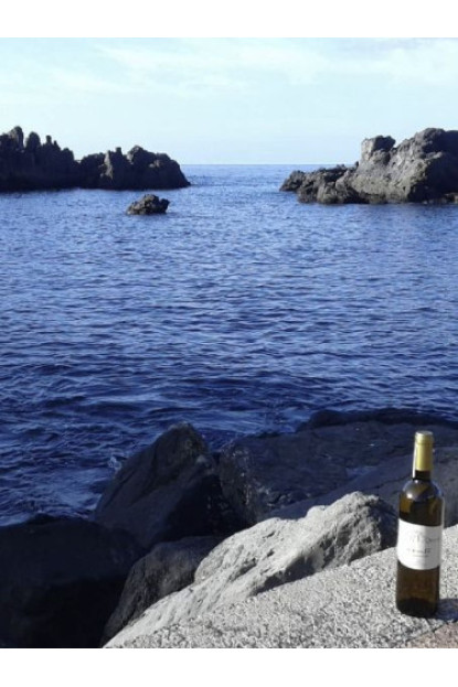 Vento Blanco Seco – D.O. Abona Tenerife