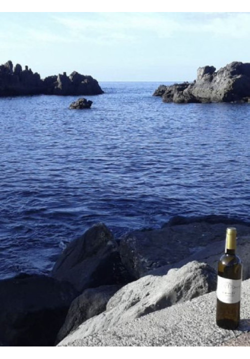 Vento Blanco Seco – D.O. Abona Tenerife